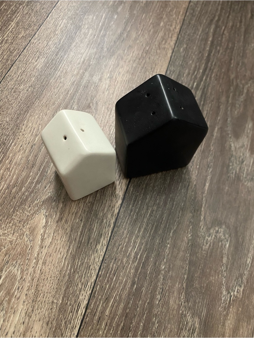 Magnolia Hearth & Hand Ceramic House Salt and Pepper Shakers - Black and White